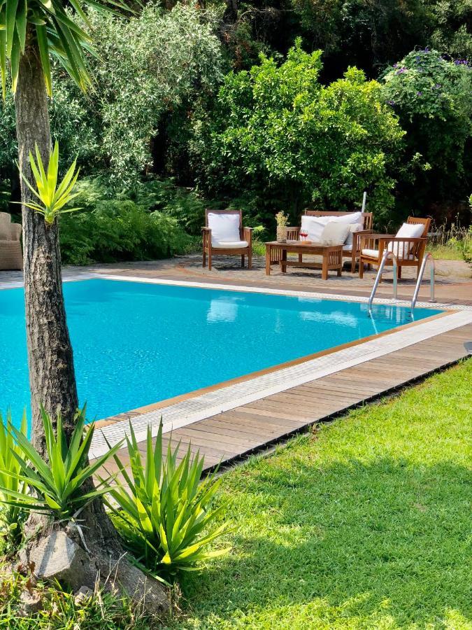 Gialos Villas 1-2 With A Private Pool Mikros Gialos Eksteriør billede